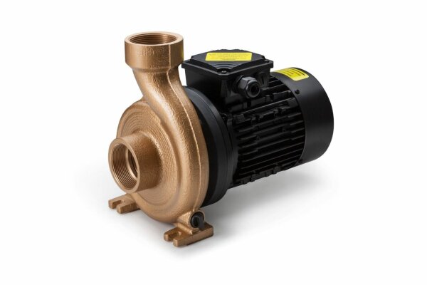 OKU Poolpumpe Pahlén FloVISE 400V TT55 FlowVise 0,55 kW/400V 17m³/h/8m