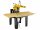 DEWALT Radialarmsaege 350 mm 4000 Watt